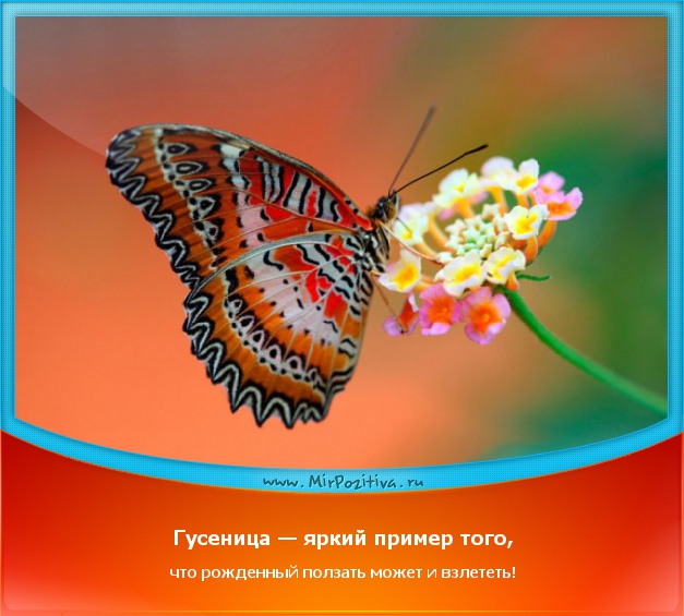 e8307e2b029bbb813f1cf71ff5c07e37.jpg