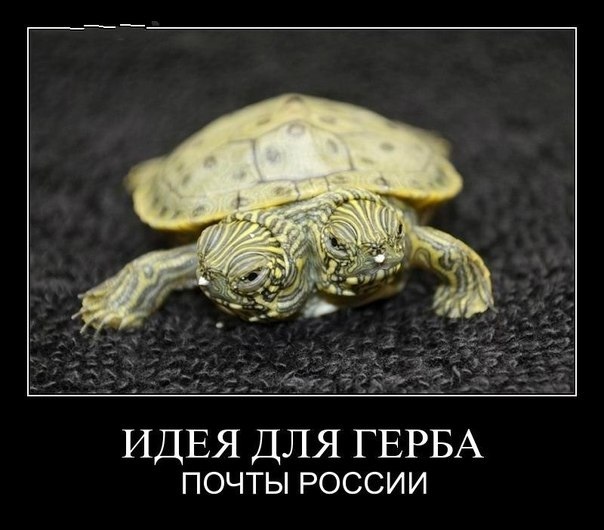 246180425524db14b115b9abeaeb05d4.jpg