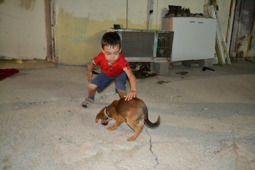 Путешествие в Израиль мальчишки-хулигана)))