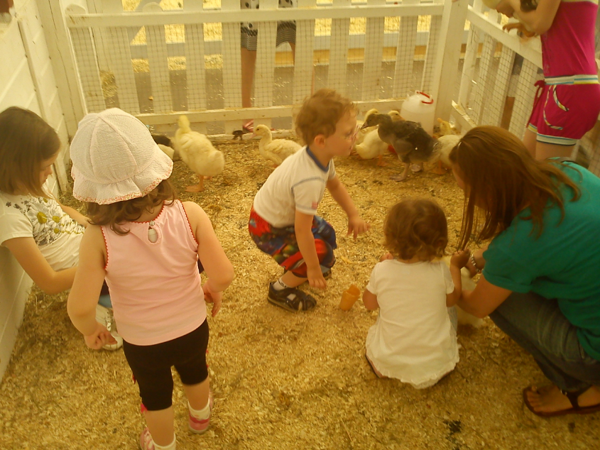 Контактный зоопарк-ВВЦ. 1 июня 2013 год.