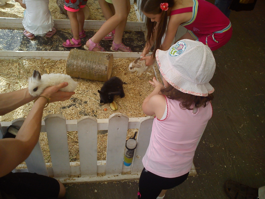 Контактный зоопарк-ВВЦ. 1 июня 2013 год.