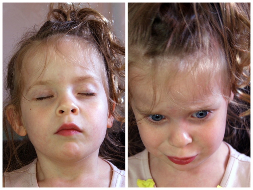 Тактильное лото "Животные" и Зоя-путешественница