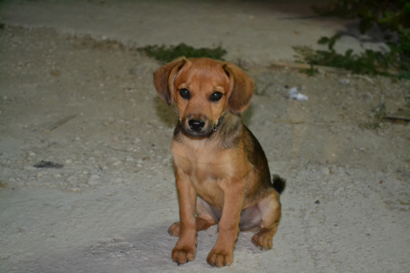 Путешествие в Израиль мальчишки-хулигана)))