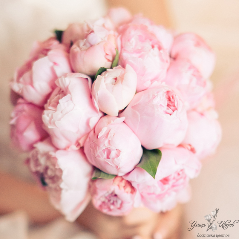6f608c1fc1adafb500fde9c0bf75715e.jpg