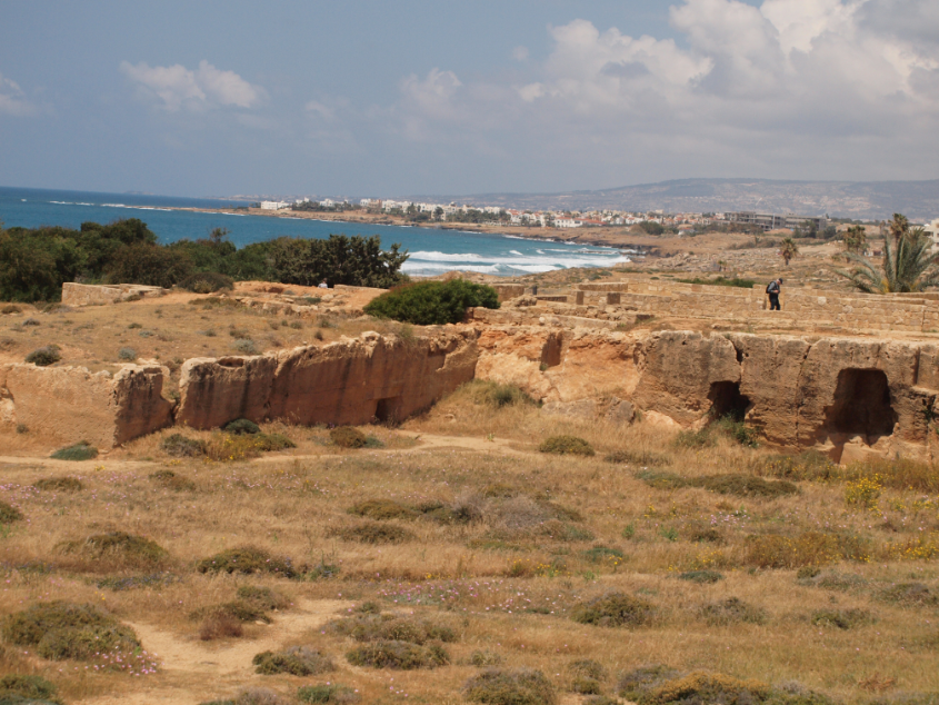 78e7b1a94a69f89faf31697efa7988ff.jpg
