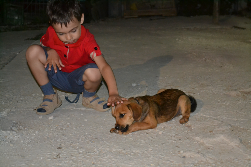 Путешествие в Израиль мальчишки-хулигана)))