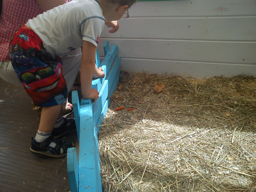 Контактный зоопарк-ВВЦ. 1 июня 2013 год.