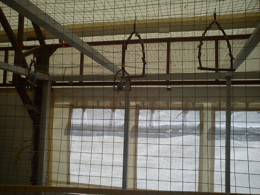 Контактный зоопарк-ВВЦ. 1 июня 2013 год.