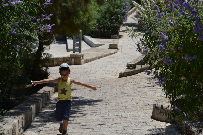 Путешествие в Израиль мальчишки-хулигана)))