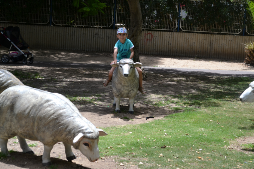 Путешествие в Израиль мальчишки-хулигана)))