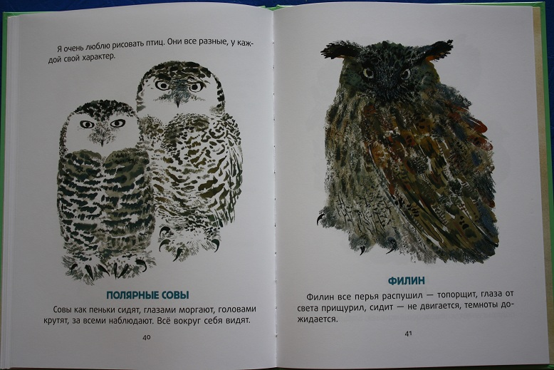Моя первая зоология книга о птицах. Книга моя первая Зоология Чарушин. Моя 1 Зоология про птиц. Чарушин моя первая Зоология.