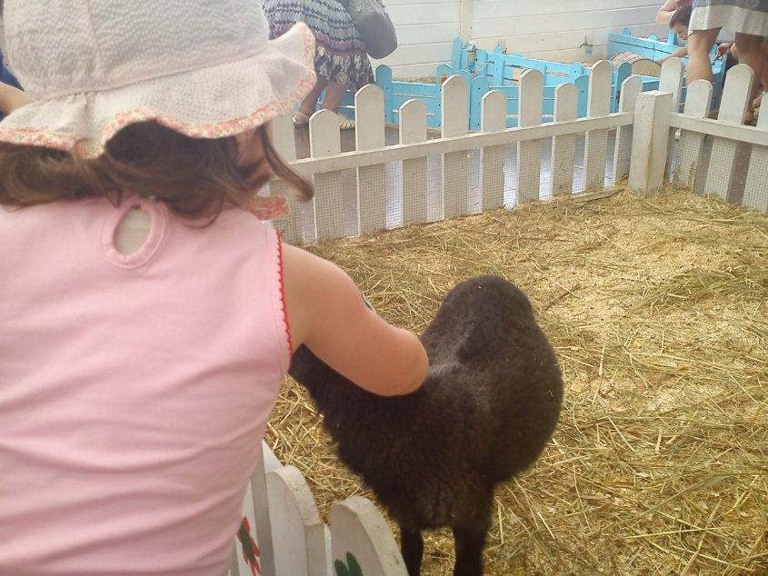 Контактный зоопарк-ВВЦ. 1 июня 2013 год.