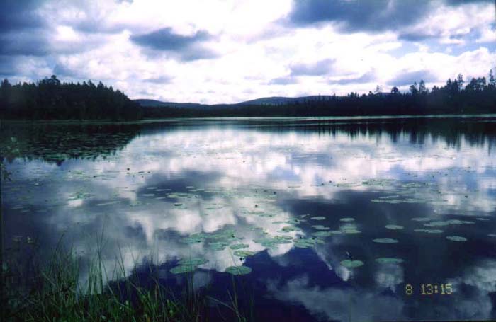 Погода в зункаре. Озеро Зункарь. Водохранилище Зункарь Ставропольский край. Озеро Зункарь Ставропольский край. Озеро Зункарь Нефтекумский район.
