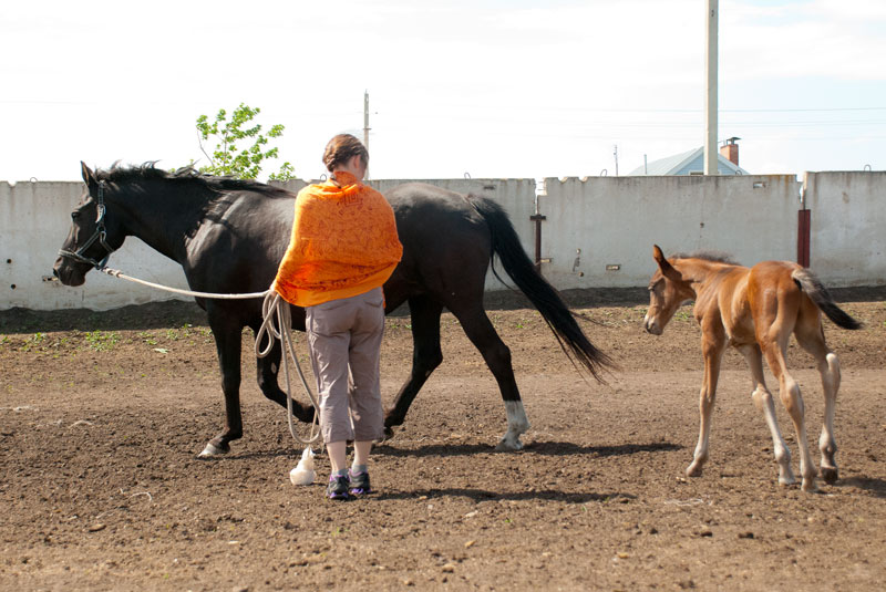 Про Дуська.