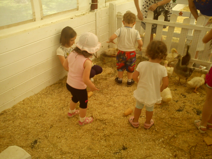 Контактный зоопарк-ВВЦ. 1 июня 2013 год.