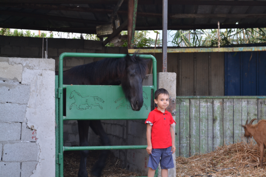 Путешествие в Израиль мальчишки-хулигана)))