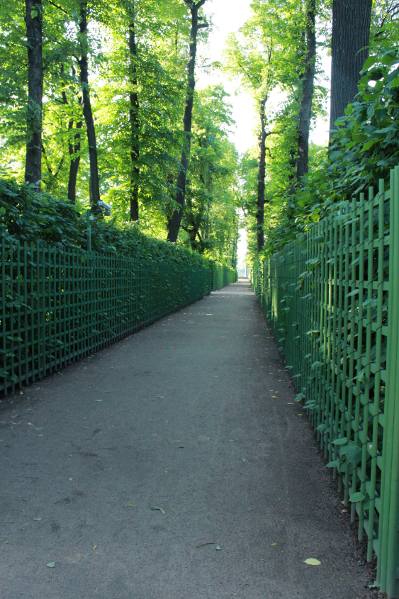 e2425b0cf7cf656b63bab8effbdbb126.jpg