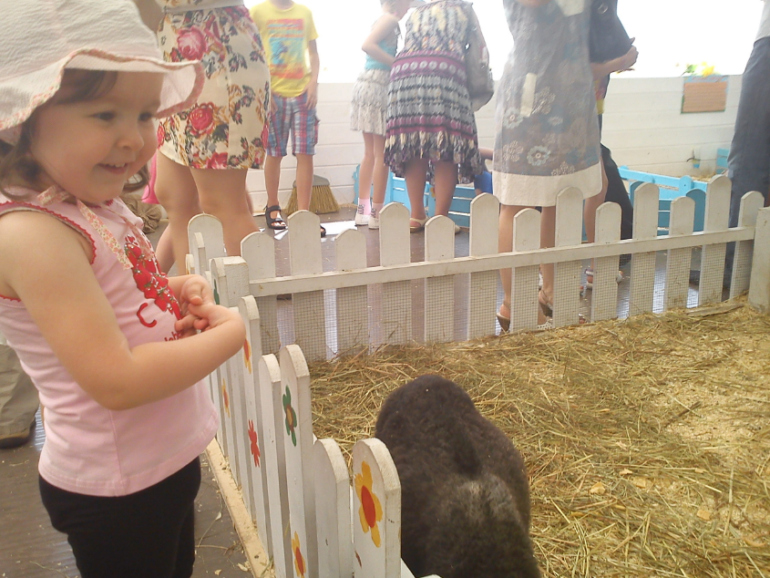 Контактный зоопарк-ВВЦ. 1 июня 2013 год.