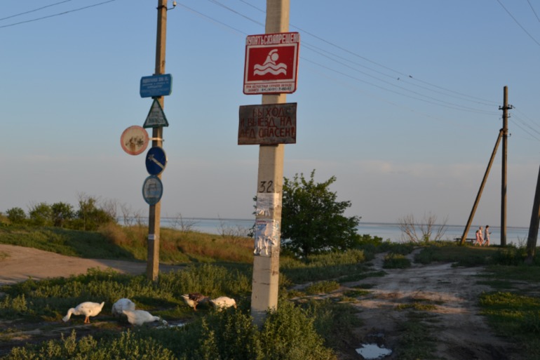 12a69a71a8f2bda3fc01895f0f7d5625.jpg