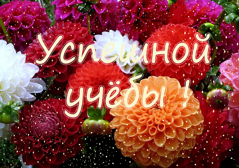 5524aa78880c453661d0116270fe3cee.jpg