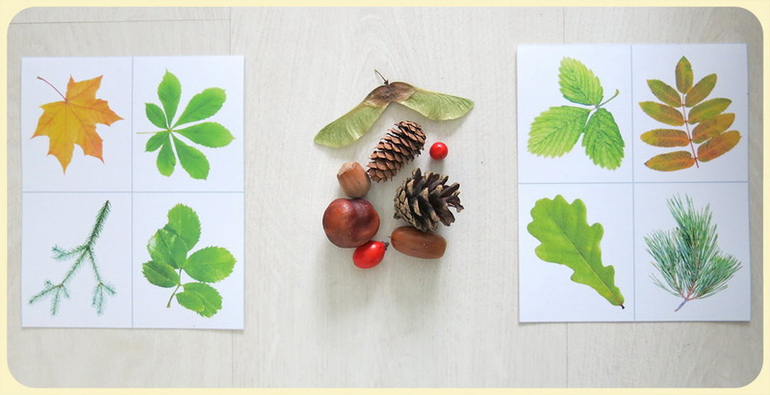 Классная идея