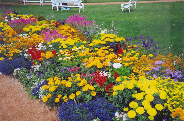 Я жду весну...