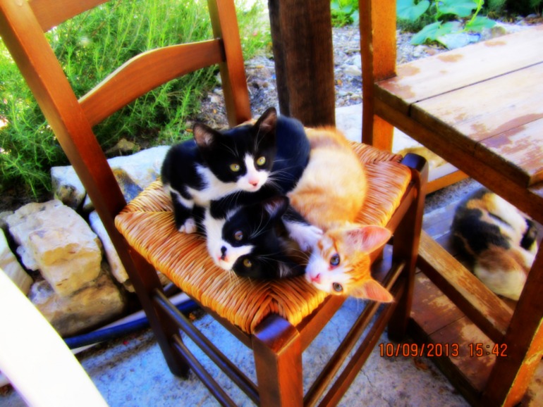 We love Cyprus (много информации и фото)