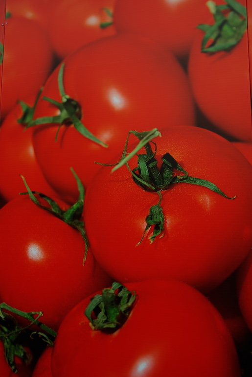 Золотая осень)