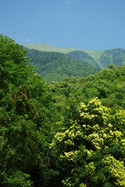 Абхазия 2013