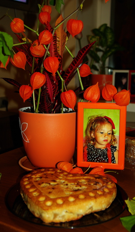 Моя первая шарлотка в этом году из своих яблок)