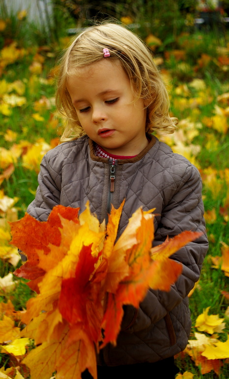 Золотая осень)