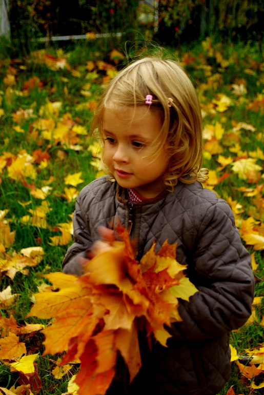 Золотая осень)