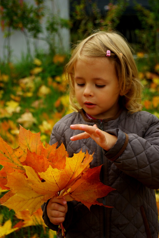 Золотая осень)