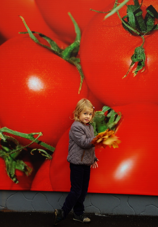 Золотая осень)