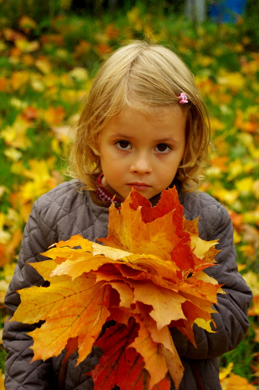 Золотая осень)