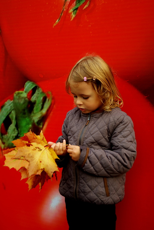 Золотая осень)