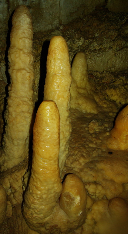 Ново-Афонская пещера (Абхазия) 2013