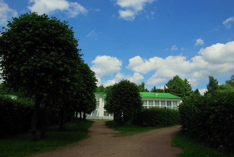 a0599076ea252416cbd0aa7b08cb75aa.jpg