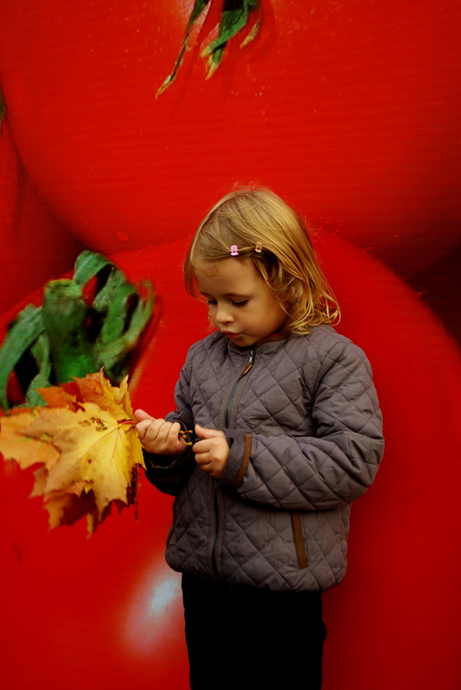 Золотая осень)