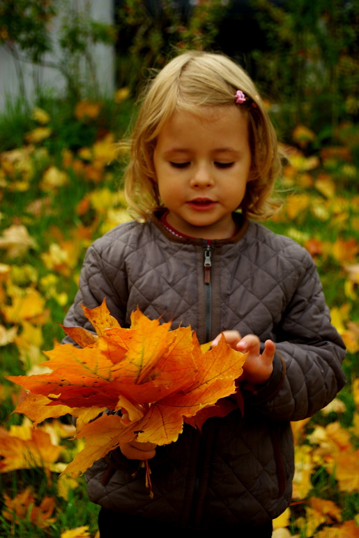 Золотая осень)