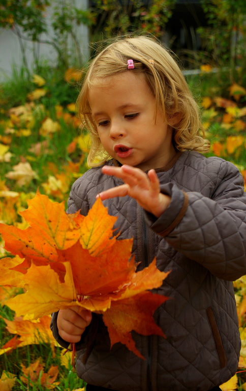 Золотая осень)