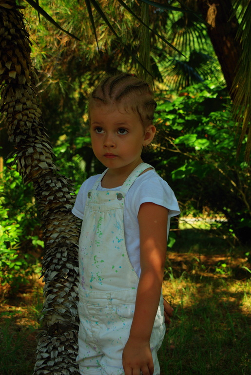 Абхазия 2013