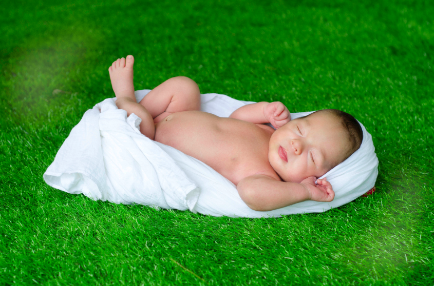 50d883d871a7a59db297550bf4b947f2.jpg