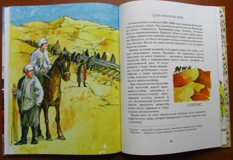 Марина Улыбышева: От паровоза до Сапсана