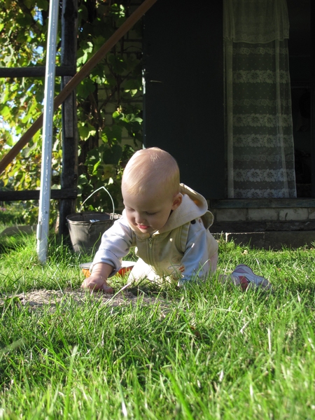 Дашкины предпочтения