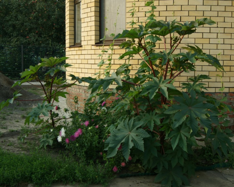 9f8a92db1363bc76b0d3cd80747a2f7f.jpg