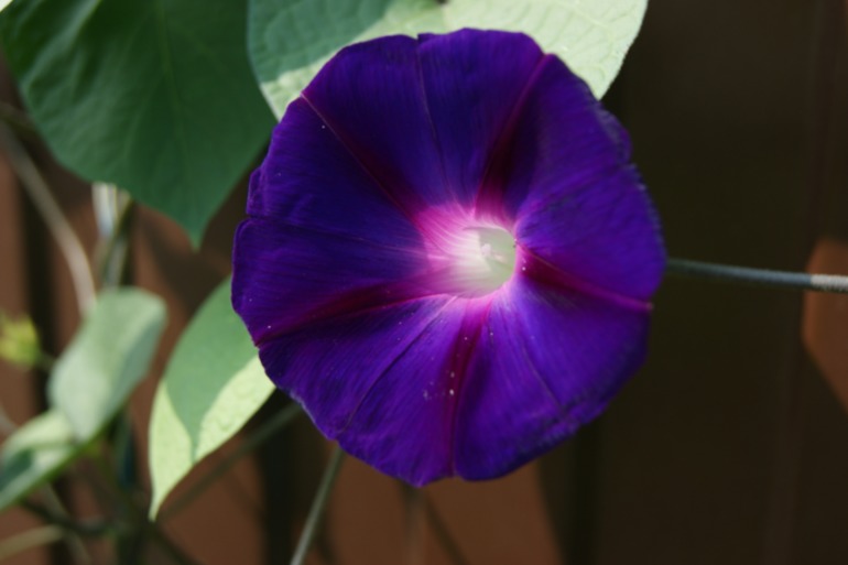 e4db8d28d962306ff572b32fc22a7456.jpg