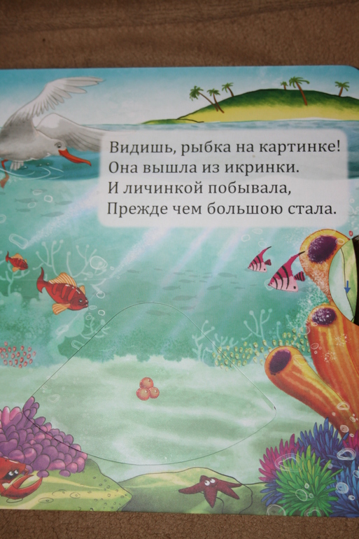 5b7512cb8b34f4e14ab113ad3b6aef46.jpg