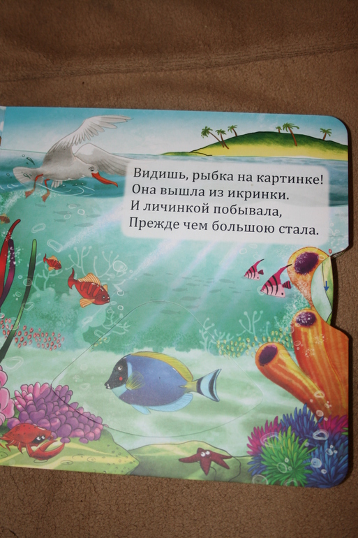 ee5ce46807828620c7dfbfcdcb39ae14.jpg