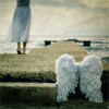 90fd8397a6fc295ae3fbac9e75170660.gif